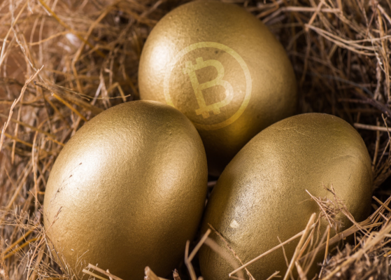 Cryptocurrency SMSF nest egg